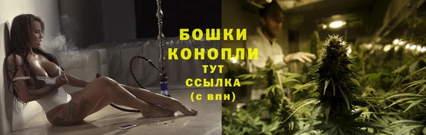 прущие грибы Мегион