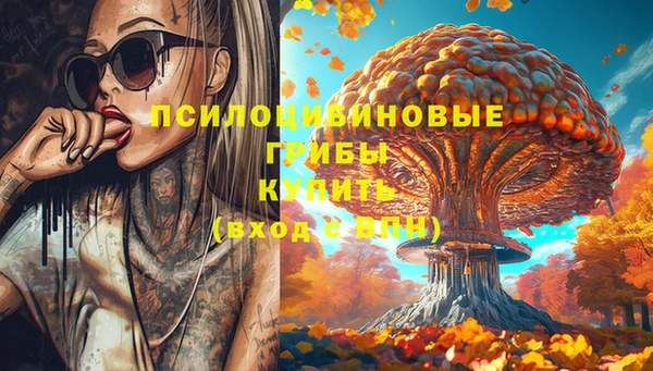 MESCALINE Медвежьегорск
