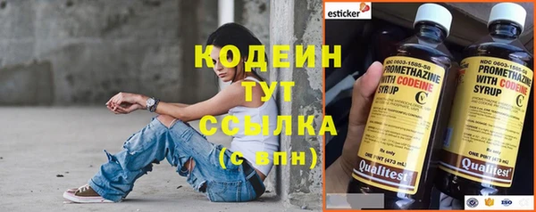 прущие грибы Мегион