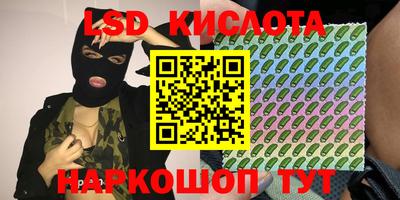прущие грибы Ирбит