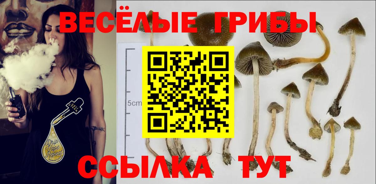 Приморско-Ахтарск  цена наркотик  Вход с VPN  Галлюциногенные грибы прущие грибы 