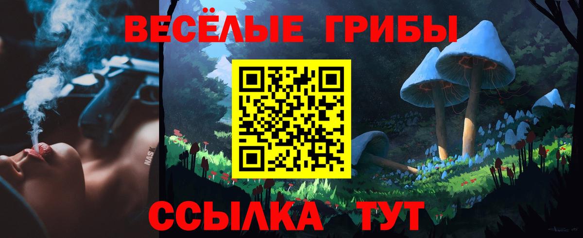 Галлюциногенные грибы мицелий Приморско-Ахтарск